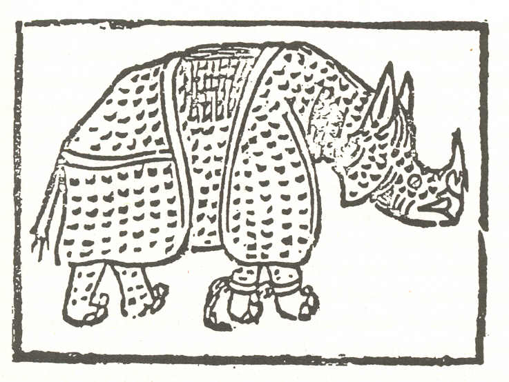Rinocerul